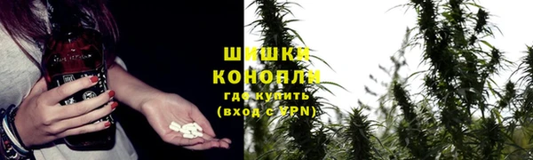 гидропоника Белоозёрский