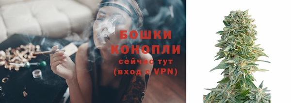 гидропоника Белоозёрский